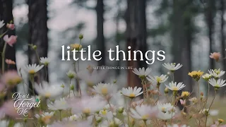 Little Things In Life Relaxing Guitar Music For Peaceful Mind Sleep Stress Relief 