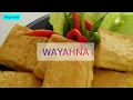 Lagu Lirik lagu wayahna ( Ikko )