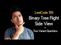 Binary Tree Right Side View Leetcode 199 2 Variant Questions Big Tech Actually Asks