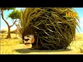 Download Lagu Twister | Leon the Lion | Big Compilation | Crazy animals