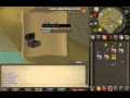 Magic shortbow long bow and comp