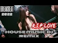 Download Lagu HOUSE MUSIC DJ REMIX - R.I.P Love | [BREAKBEAT]