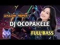 Download Lagu DJ PARTY SENTAK 🥦 OCOPAKELE - Anadin Remix 2024