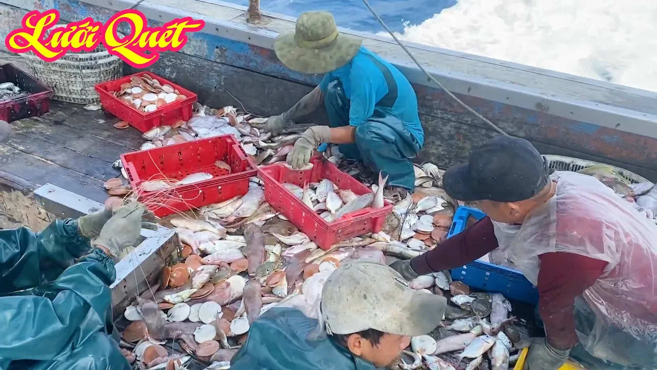 Nghề lưới quét, nghề biển gian nan cực khổ - Dân Biển