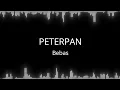 Download Lagu Peterpan - Bebas