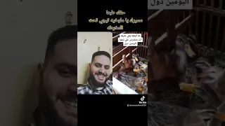 مسيرك يا ملوخيه تيجي تحت المخرطه 