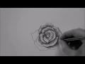 How to draw a Rose In 10 Minutes step by step Real Time