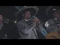 Saúl "El Jaguar" Alarcón - En tu pelo (Video Oficial)