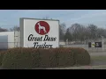 Great Dane Approved