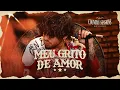Download Lagu Zé Felipe - Meu Grito de Amor (Country Sessions)