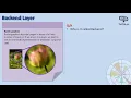 Non-Interactive Backend Raster Graphics Matplotlib Course