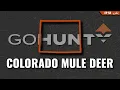 Colorado Mule Deer - 2026 Application Strategy and Our Top Units