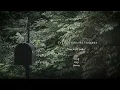 Taylor Swift - Foolish One (Taylor’s Version) (From The Vault) (Lyric Video)