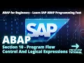 SAP ABAP Programming For Beginners - Section 10