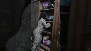 روتين يومي ترتيب غرفه النـ ـوم GO 87 اكتشفوا المفاجأت مع أميره 