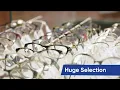 Eyemart Express in Hanover County