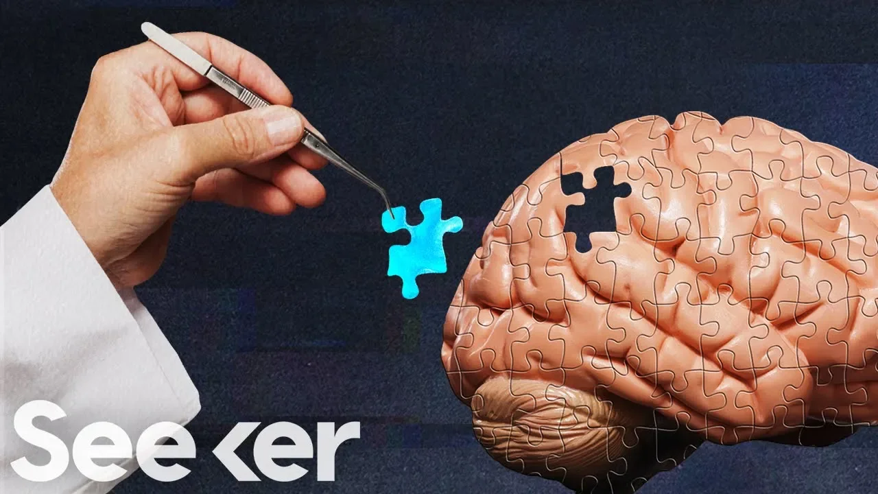 Scientists Can Implant Fake Memories in the Brain, Here’s How