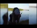 Ｒｅｓｔｌｅｓｓ ｘ Ｕｎｓｌｅｐｔ （ｍａｓｈｕｐ ｂｙ ｍｅ － ｖｉｓｕａｌｉｚｅｒ）