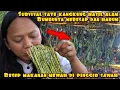 Download Lagu SATE KANGKUNG HASIL ALAM MAKANAN MEWAH PINGGIR SAWAH