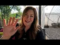 Download Lagu How to Plant Hibiscus \u0026 Silverthorn + Tips for Harvesting Onions 🌺🌿🧅 // Garden Answer