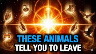 When God Wants You To Leave A Place Or A Person, 7 Animals Will Appear.