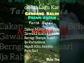Download Lagu LAGU KARO GENDANG SALIH PATAM-PATAM.
