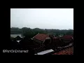 Cockatiel/Falk Free Fly (FF)  Diserang Puluhan Burung Walet Liar!!
