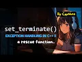 set - terminate function exception handling in c