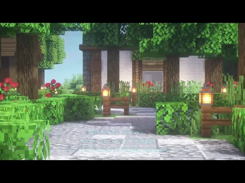Minecraft server video for BuurmanMC