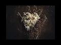 Novo Amor 565 Fund - 'Pteryla' by Novo Amor &  @Lowswimmer . Film by Robert Pereña