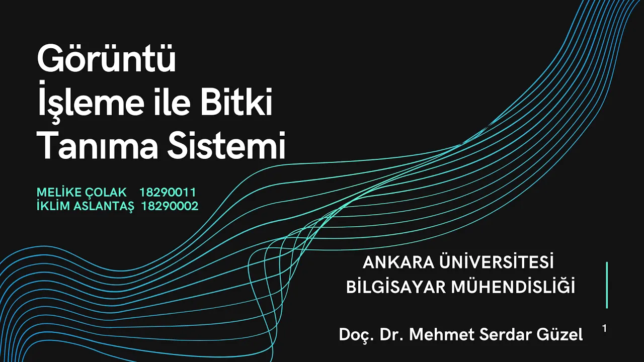 Plant Recognition System with Image Processing (Görüntü İşleme ile Bitki Tanıma Sistemi)