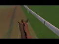 Ride along Pearl River Race 1 Rival Stars VR Horse Racing Oculus Quest