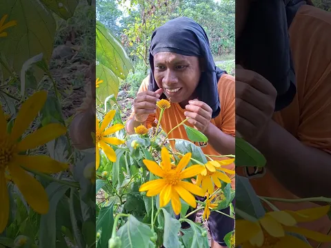 DAÑARON TODAS MIS FLORES