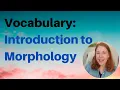 Introduction to Morphology Prefixes Suffixes Root Words and Base Words