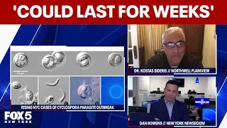 doctor answers cyclosporiasis questions how can you avoid it whats the treatment