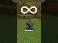 Infinite Elytra Trick