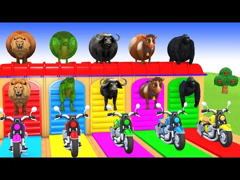 Video Thumbnail: Long Slide Game with Cow Elephant Gorilla Hippopotamus Tiger 3d Animal Game Funny 3d Animals