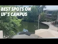 My Top 3 Spots On UF s Campus