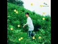 That Summer (feat. Chan) - JAEHA