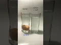 Download Lagu floating egg science experiment…adding salt to water makes it more dense than egg.. #density #egg