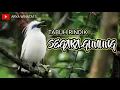 Download Lagu Rindik Bali,Tabuh Segara Gunung