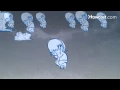 How to Survive a Lightning Storm