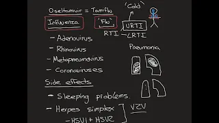 Tamiflu
