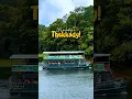 Download Lagu Thekkady Boating❤️😍 | Periyar Tiger Reserve | Kerala Tourism MP3