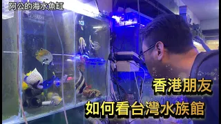 Download 發現一家有特殊魚種的水族館-阿公的海水魚缸 MP3