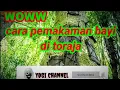 Download Lagu cara pemakaman BAYI di TORAJA