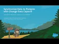 Synchronize Data to Postgres With Change Data Capture