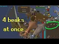 Lantern Harpooning Guide Chum Spreader multiple Squid Beaks Ironman Rosewood Blowpipe OSRS