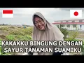 Lagu REAKSI KAKAK MAKAN SAYUR TANAMAN SUAMI INDONESIA