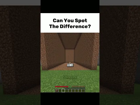 Can You Spot The Difference?